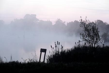  Doxey Marshes Nature Reserve in Stafford. Photographs by Paul Pickard